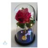 Rosa Eterna Adorno Led muñequitos